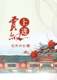 (BG/红楼同人)红楼之上进贾赦